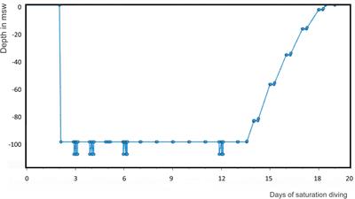 Blood Gene Expression and Vascular Function Biomarkers in Professional Saturation Diving